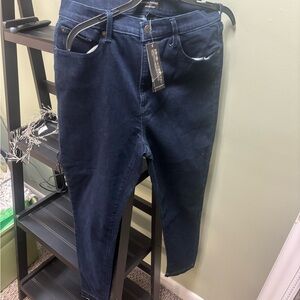 Banana Republic Blue Jeggings Classic Style